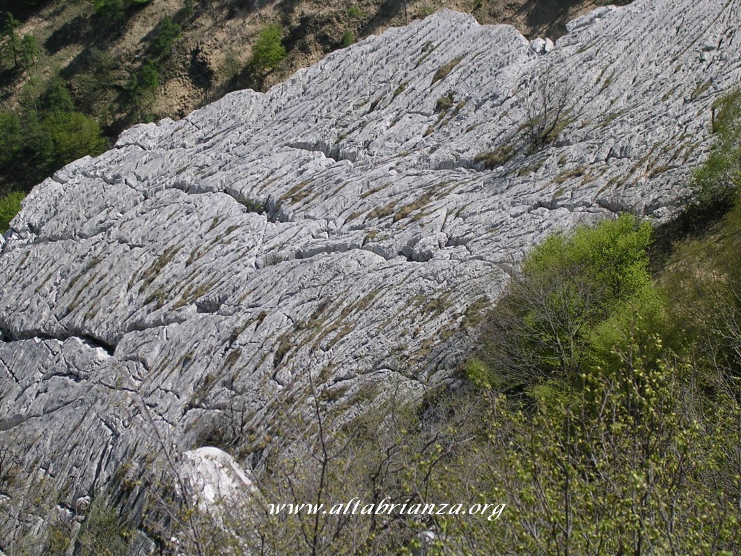 I campi solcati del Sasso Malascarpa (foto di S. Ripamonti)