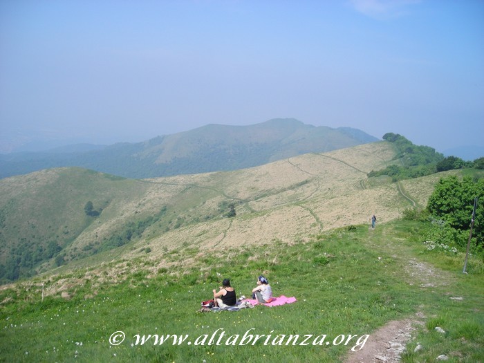 Vegetazione in vetta al monte Bollettone