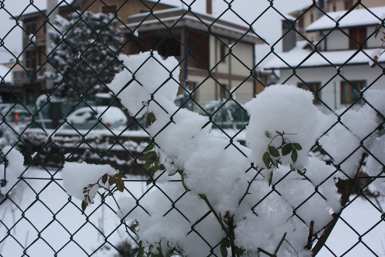 Neve come batuffoli di cotone