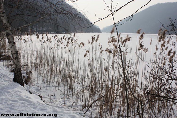 Ondata di gelo Febbraio 2012: il lago del Segrino ghiacciato e con la spolverata di neve del 11/02!