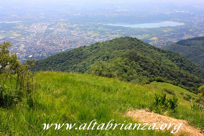 In primo piano, il monte Panigas; sulla destra, tra i due rilievi, la valle Bova e la pineta del Rifugio Zoccolo