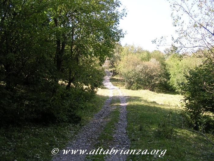 Tratto iniziale del sentiero che conduce al monte Palanzone