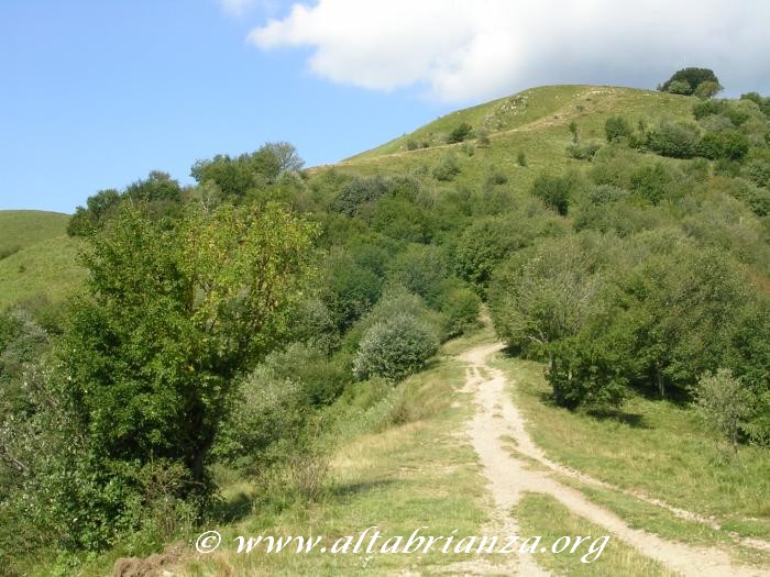 Tratto del sentiero che conduce al monte Palanzone