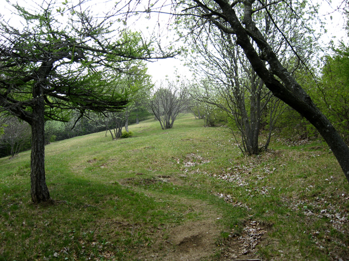 Ultima salita prima della cima del monte Rai. 