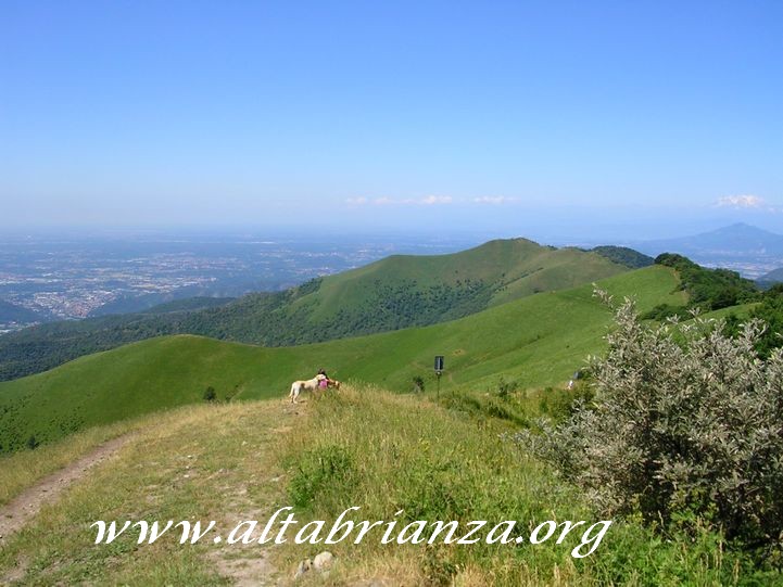 Verso la croce del Bollettone camminando già sul crinale.
