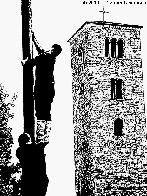 DigitalArt: l'albero della Cuccagna  alla Sagra del Masigott Edizione 2010