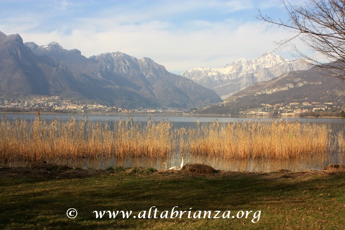 Il lago di Annone