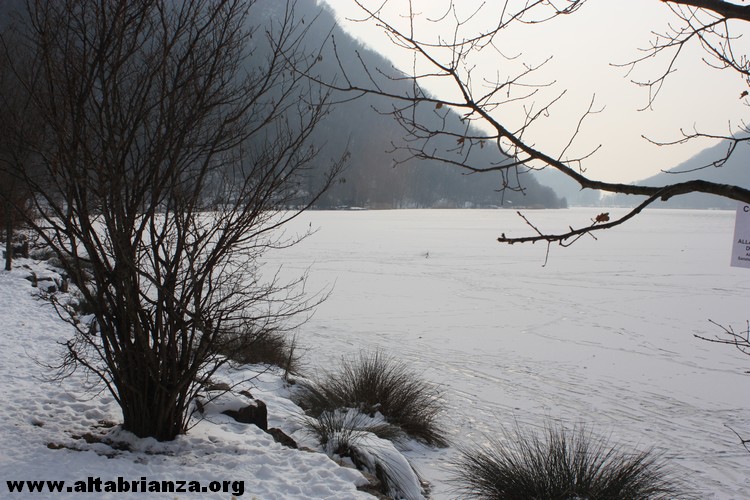 Ondata di gelo Febbraio 2012: il lago del Segrino ghiacciato e con la spolverata di neve del 11/02!